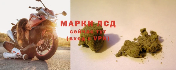 ГАЛЛЮЦИНОГЕННЫЕ ГРИБЫ Ладушкин