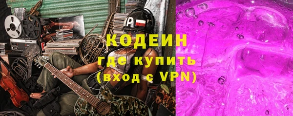 ГАЛЛЮЦИНОГЕННЫЕ ГРИБЫ Ладушкин