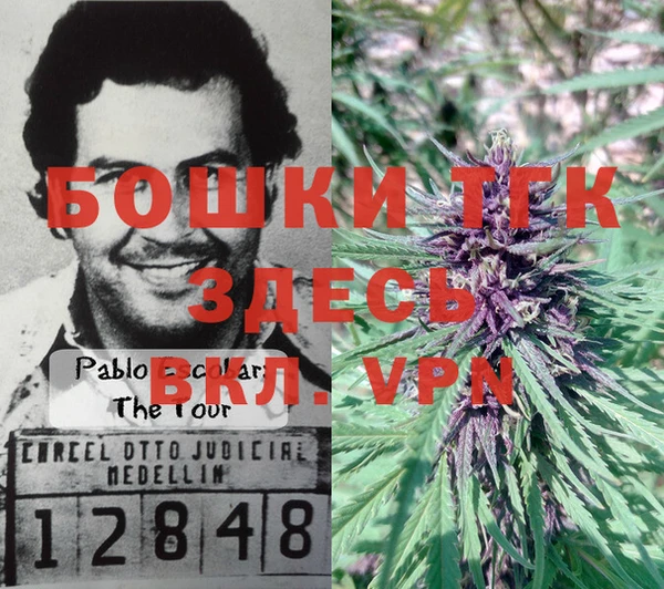 a pvp Лагань