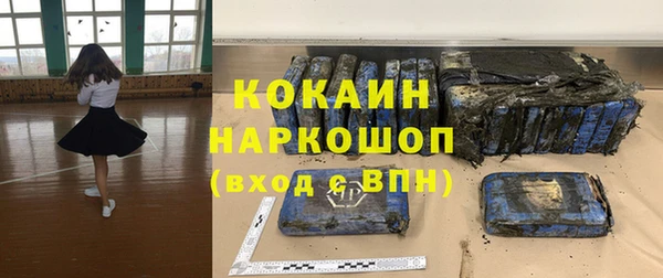 ГАЛЛЮЦИНОГЕННЫЕ ГРИБЫ Ладушкин