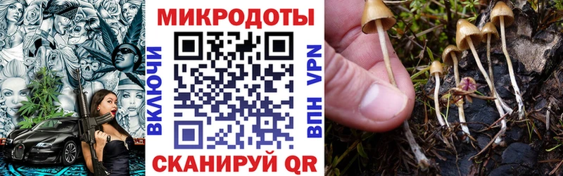 Галлюциногенные грибы ЛСД Арсеньев